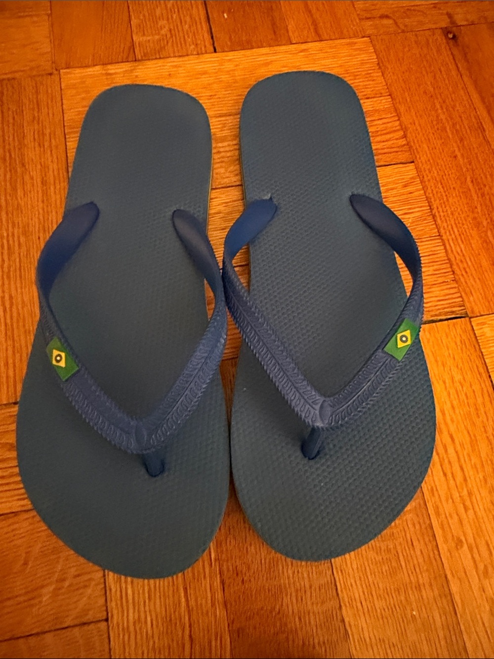 Brazilian-flag Navy Blue Flip Flops - Men Swim